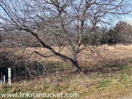 2 Brooks Farm Road :: Town