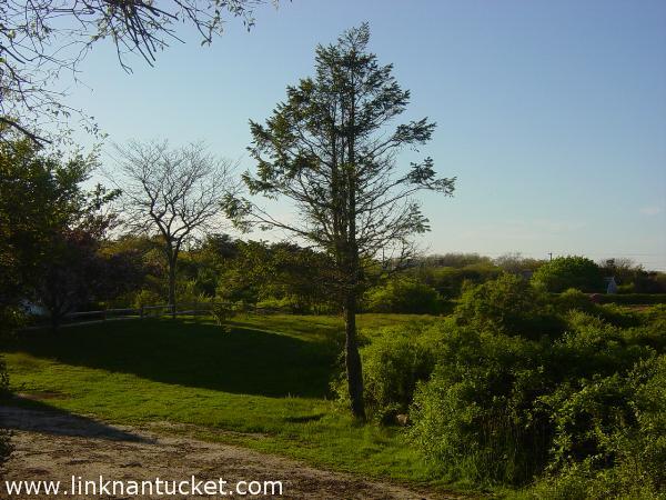 53 Vestal Street Nantucket Image