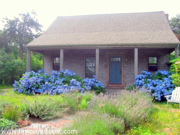 11 Field Avenue Nantucket Image