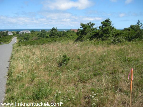 20-2 Bishops Rise Nantucket Image