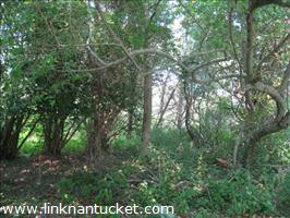 30 Coffin Street (portion of) Sconset