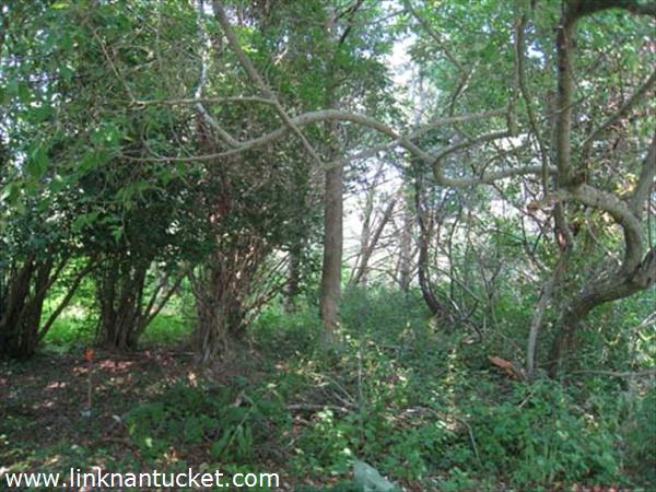 30 Coffin Street (portion of) Nantucket Image