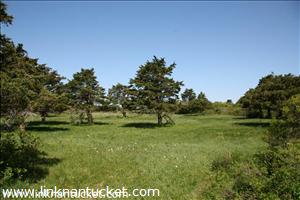 66 Sankaty Road Sconset