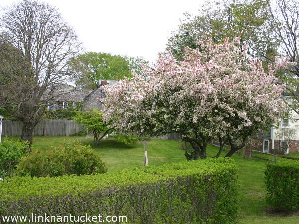 6 Saratoga Lane Nantucket Image