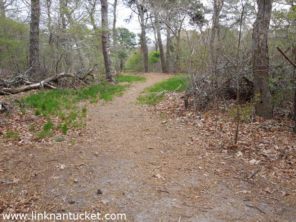 11R #3 Crooked Lane Nantucket Image