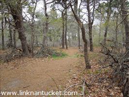 11R #4 Crooked Lane Cliff