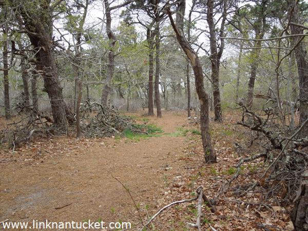 11R #4 Crooked Lane Nantucket Image