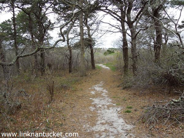 11R #5 Crooked Lane Nantucket Image