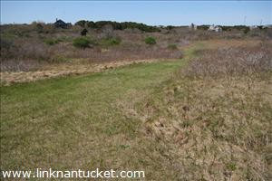 11R #6 Crooked Lane Cliff