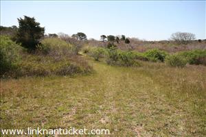 11R #7 Crooked Lane Cliff