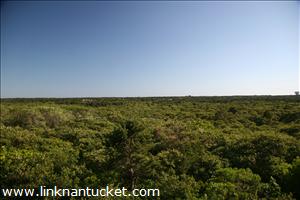 25 North Pasture Lane Polpis