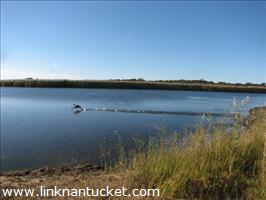 199R Hummock Pond Road Cisco