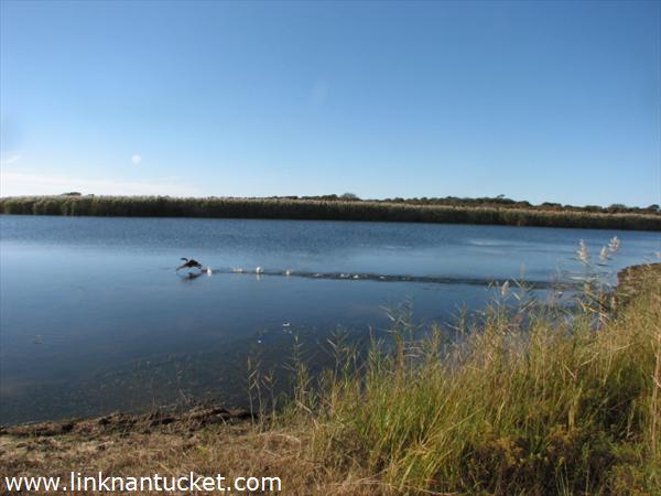 199R Hummock Pond Road Nantucket Image