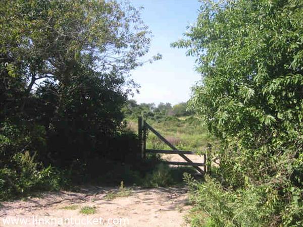49 Vestal Street Nantucket Image