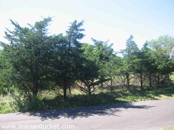 12A Meadow Lane Nantucket Image
