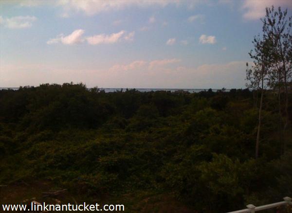 8 Bassett Road #  Nantucket Image