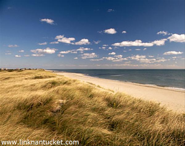 5 Heller Way Nantucket Image