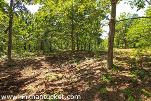 11A Crooked Lane Cliff