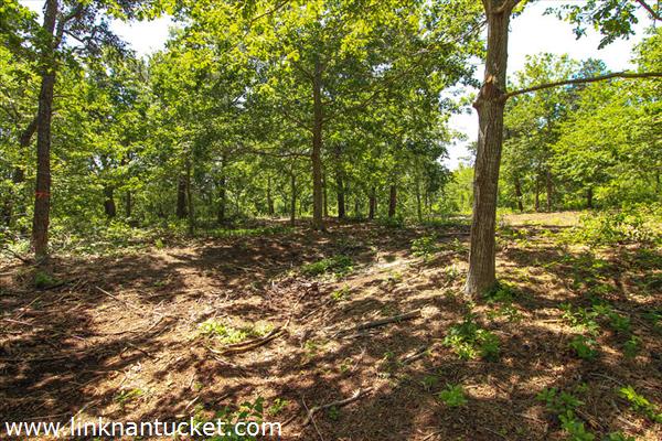 11A Crooked Lane Nantucket Image