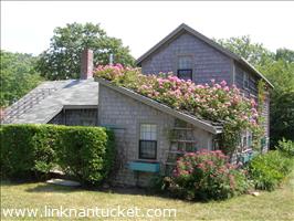 6  &  8 Lily Street Sconset