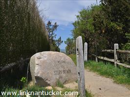 16 Lincoln Avenue Cliff