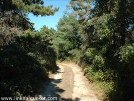 65A Milestone Road Mid Island