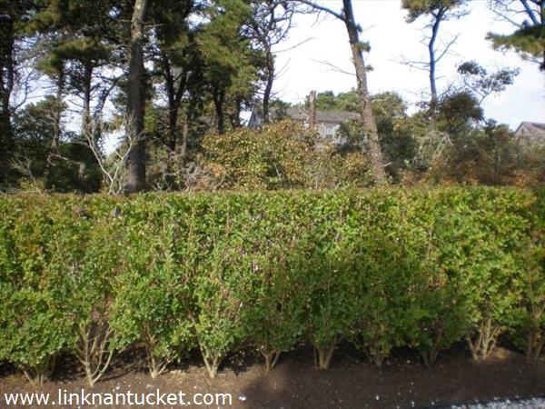 6 Sleepy Hollow Road Nantucket Image