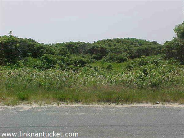 94 Tom Nevers Road Nantucket Image