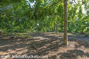 4 Hickory Meadow Lane Cliff