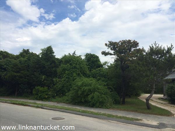 2B Essex Road Nantucket Image