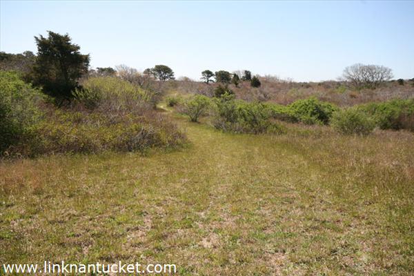 10 Hickory Meadow Lane Nantucket Image