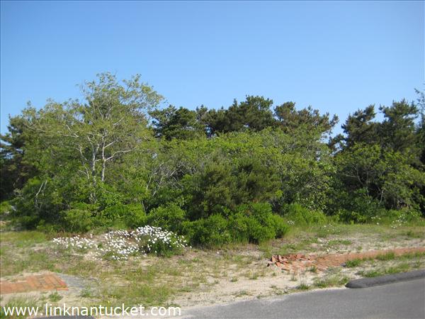 1 Cachalot Lane Nantucket Image