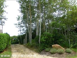 95 West Chester Street # Cliff