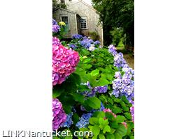 6 Gull Island Lane Town