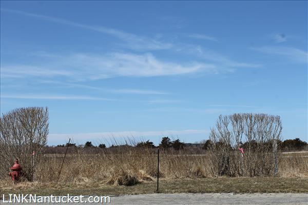 12 Hydrangea Lane Nantucket Image