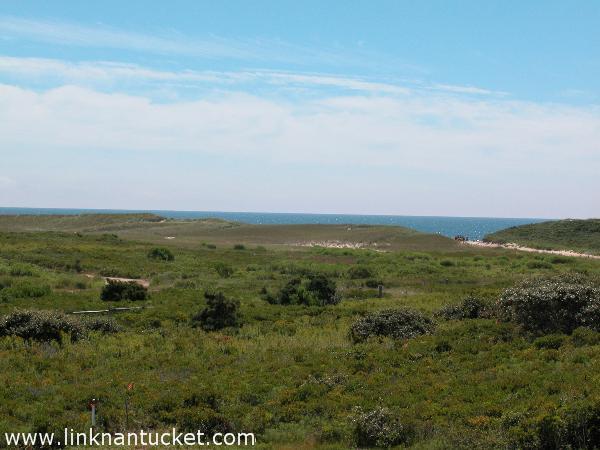 12 Weweeder Avenue Nantucket Image