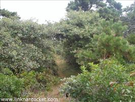 20 Ticcoma Way Mid Island