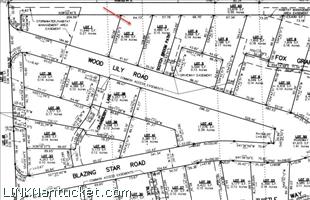 3 Wood Lily Road Mid Island