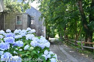 6 Gull Island Town