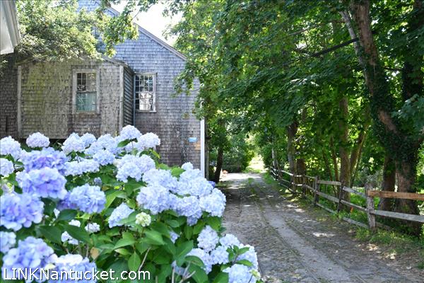 6 Gull Island Nantucket Image