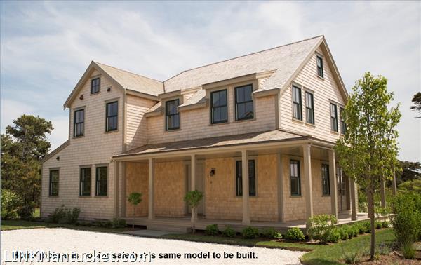 1 Blue Flag Path Nantucket Image