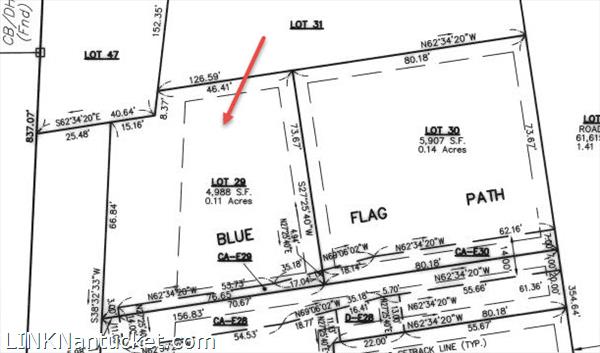 2 Blue Flag Path Nantucket Image
