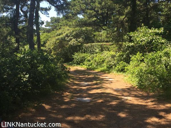 2 Sheep Commons Lane Nantucket Image