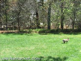 16B Pine Tree Road Mid Island