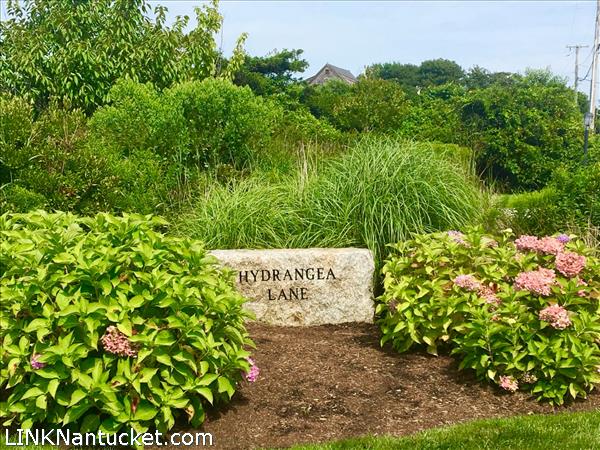 6 Hydrangea Lane Nantucket Image
