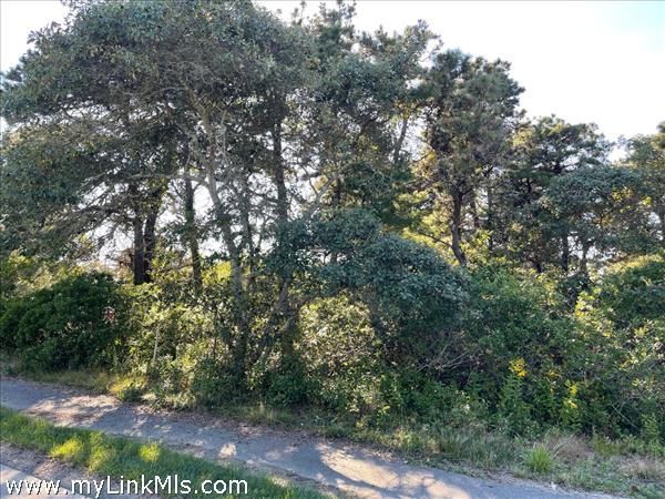 6 Forrest Avenue Nantucket Image