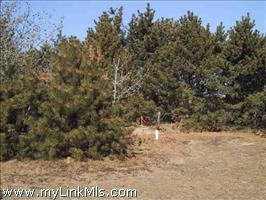 210 Eel Point Road Dionis