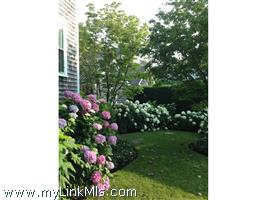 8 Milk Street Nantucket Thumb 29
